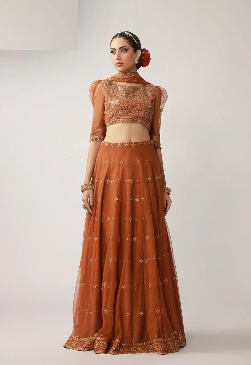 Asim Jofa 3 Piece Unstitched Embroidered Net Suit - AJULO-01