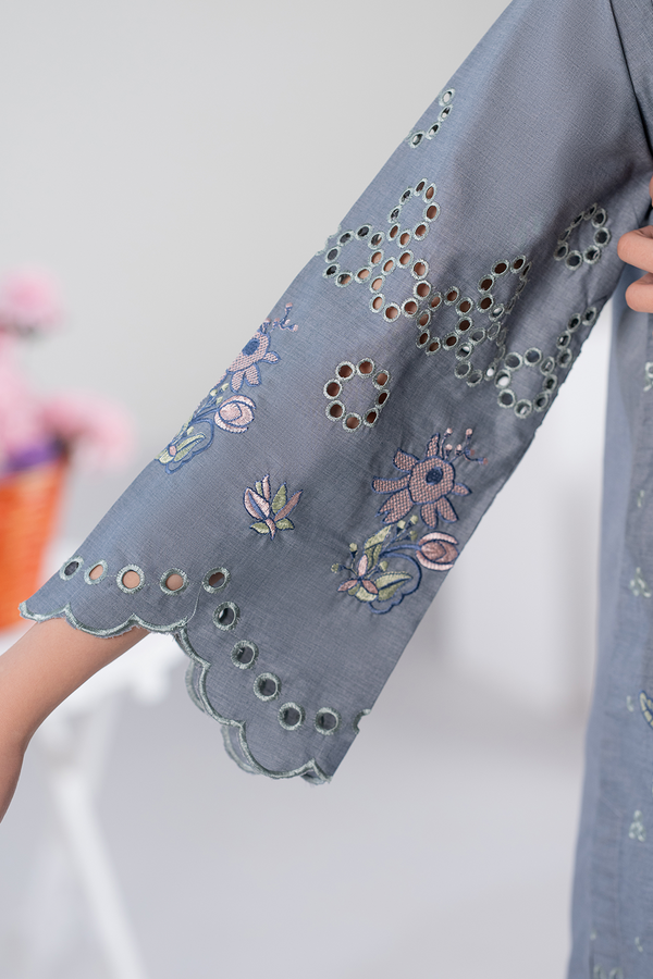 Dor 2 Piece Ready to Wear Embroidered Co-Order Set - Slate Elegance